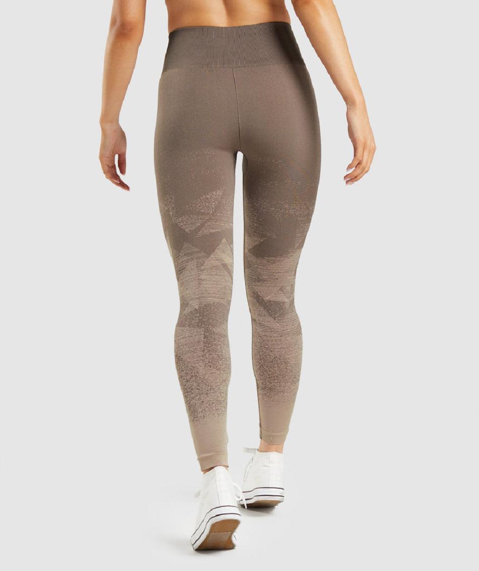 Legginsy Damskie Gymshark Adapt Ombre Seamless Brązowe | PL 2321CTV